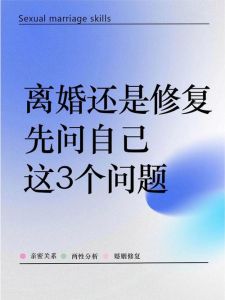 离婚：多重影响下的生活变革解析