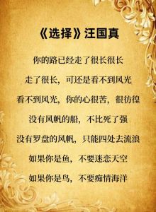决策的艺术：探索人生十字路口的智慧之道