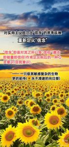 说话灵验者的灵性与能量魅力