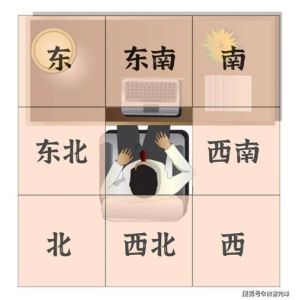 办公室风水旺财秘籍：布局指南助财运亨通