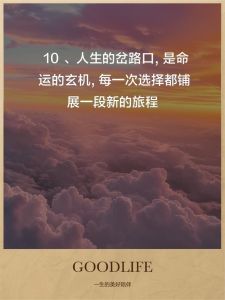 人生路口抉择：成长故事与心灵磨砺