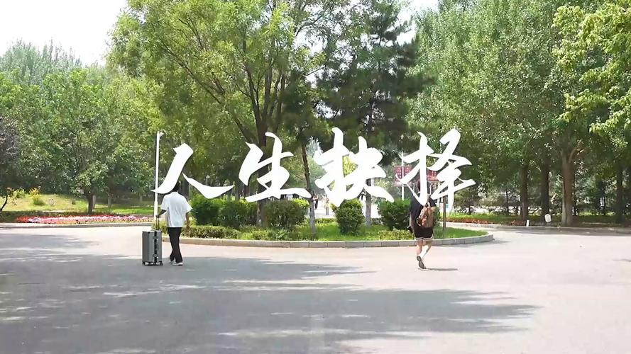 关键抉择塑造命运：如何明智选择人生轨迹