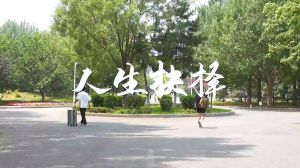 关键抉择塑造命运：如何明智选择人生轨迹