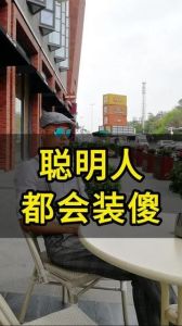 智慧之光：名人的智慧特质与成就之路