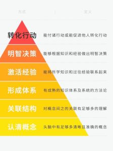 智慧者的十大特质：如何在生活中绽放光彩？