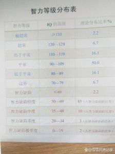 智商测试：运作原理与深远影响