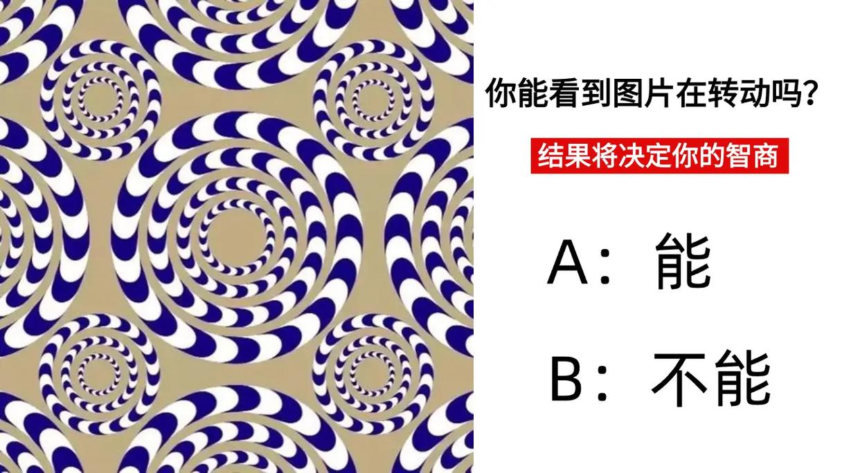 智商高低：日常生活小细节告诉你！