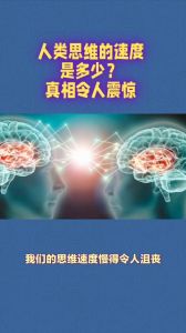 思维速度与智慧：如何平衡与提升？