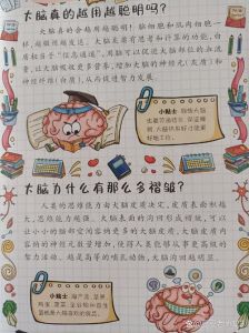 大脑潜能：智力活动与智商提升奥秘