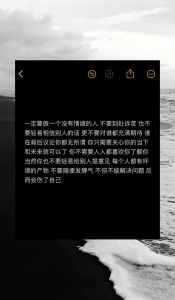 沉默棋子：探寻沉默者的独特魅力