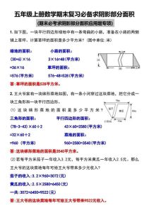 肺部阴影与占位：诊断奥秘