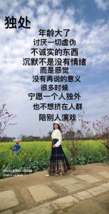 独处真意：自我提升的宁静之道