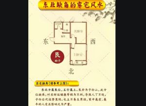 破解桃花劫：远离烂桃花，幸福人生指南