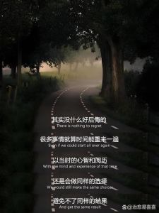 人生棋局：选择与遗憾的辩证之旅