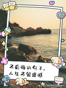 理性与直觉平衡：避免后悔的决策之道