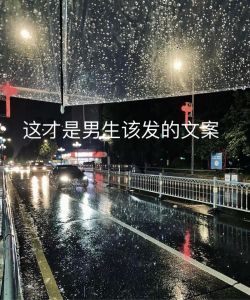 高情商者的选择与坚持：无怨无悔的人生传奇