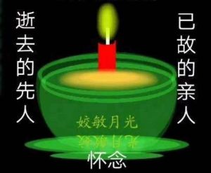缅怀双亲：深情语录点亮人生前行之路