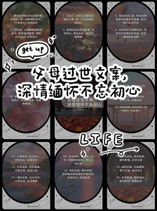 缅怀父母：生命的感悟与永恒思念之桥
