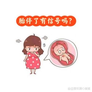 胎停育：成因治疗与心理调适，重拾希望之路