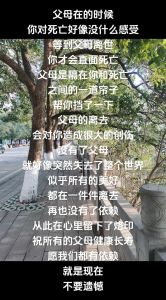 父母离世感慨：爱与思念的永恒轨迹