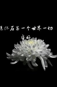 缅怀长辈：生命无常中的坚强与感悟