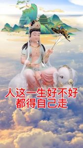 好与不好，自己走：人生修行与成长之道