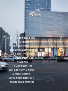独行者的旅程：自我发现与心灵归宿