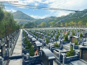 选墓地十大忠告：风水奥秘与家族福祉