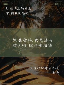 分手复合神器：20句触动心灵的复合情话