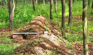 坟地风水秘宝：富贵玉器风水奥秘