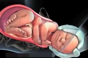 解梦顺产生孩子梦境的深层寓意