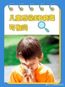 日常挑战破解：科学应对健康与生活难题