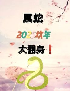 1977年属蛇48岁大劫：挑战与应对策略