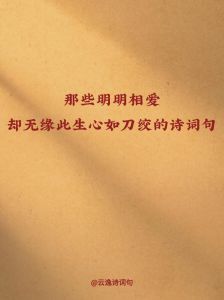 冷战之恋：跨越障碍的永恒火焰
