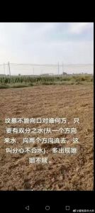祖坟风水家族兴衰十种迹象大解析