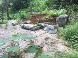 祖坟风水24禁忌及补救：家族兴旺秘籍