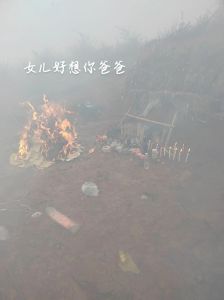 父亲挡灾传说：亲情生命与科学的思辨之旅