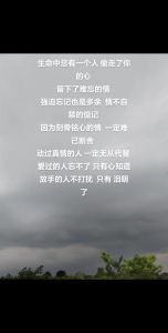 走出情感迷宫：忘不掉一个人的痛苦如何疗愈