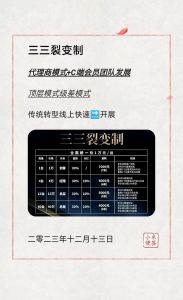 裂变营销100案例解析引流与策划策略