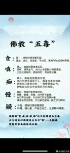 佛教智慧助戒酒：解脱之道与家庭和谐