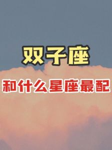 双子座魅力四大星座男为何为之倾倒？