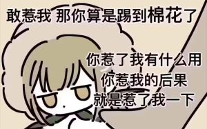 愤怒的双刃剑：驾驭情绪，避免冲突陷阱