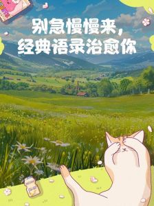 慢慢来不着急的深层含义与应对策略解析