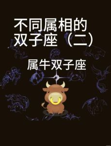 双子座女性性格成长与双子宫奥秘