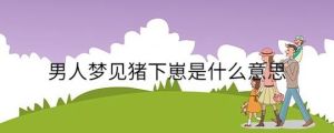 梦见母猪产仔的寓意及启示