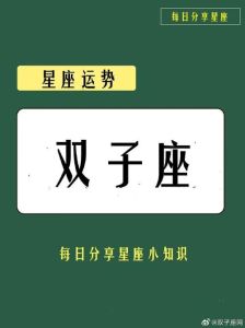 2024双子座感情过山车：甜蜜与纠结并存