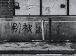 探索灰色智慧：生活艺术与无限可能