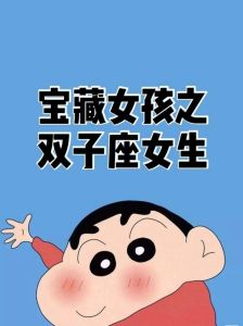 双子女心攻略：智慧真心，揭开神秘面纱
