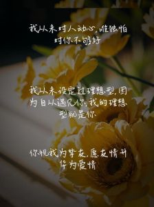 浪漫情话集锦：心动表白文案大盘点