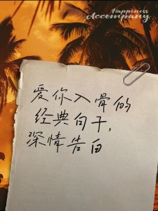 情诗般表白，触动心弦的浪漫情话集锦